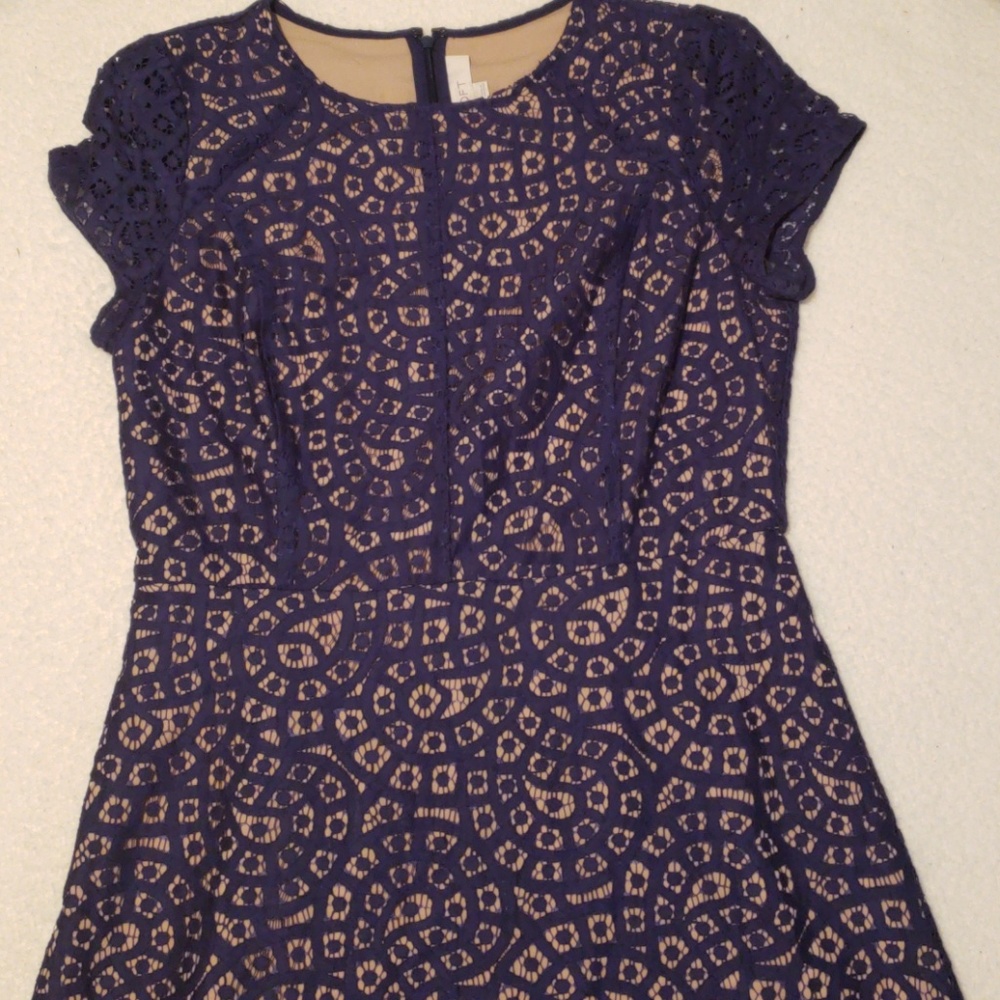 Ann Taylor Loft Dress